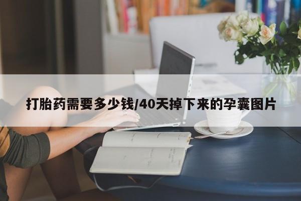 米非米索在线购买打胎药需要多少钱/40天掉下来的孕囊图片